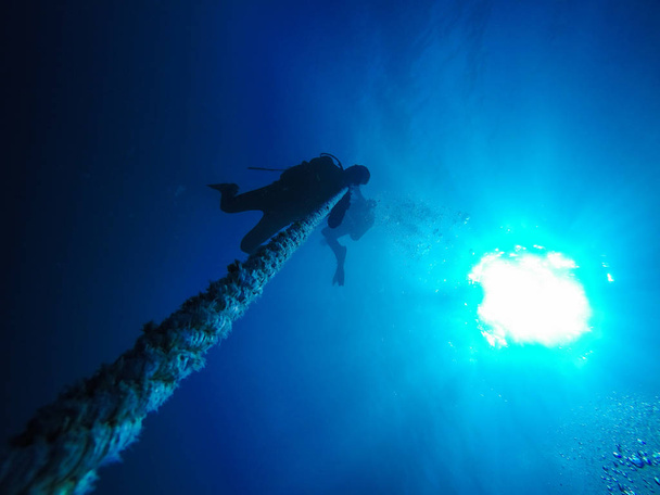 Scuba Divers Descending Holding a Rope to a Shipwreck in the Red Sea in Egypt - Photo, Image