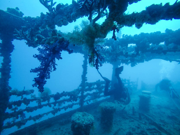 Divers Wreck Diving with Corals Growing on the Wreck in the Red Sea - Photo, Image
