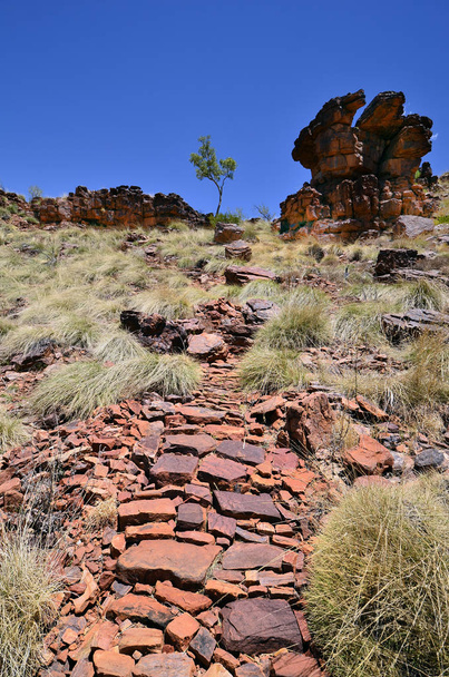 Australië, Nt, voetpad op rotsen van Trephina Gorge in nationaal park East Mcdonnell Range - Foto, afbeelding