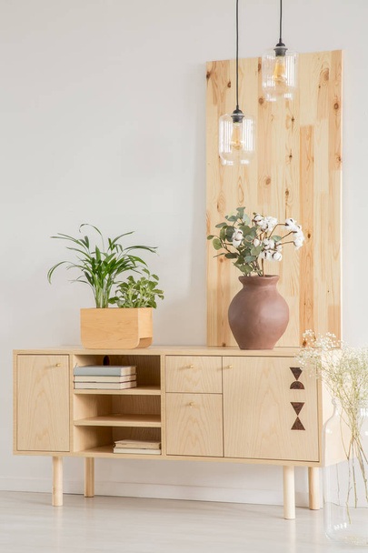 Wooden cabinet with plants in a box and a vase on a white wall in a daily room interior. Real photo - Fotoğraf, Görsel