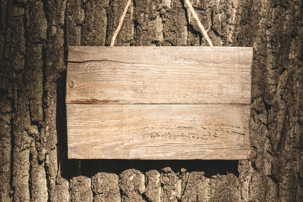 tablero de madera vacío colgado en la corteza gris del árbol
 - Foto, Imagen