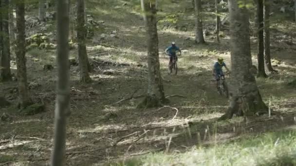 Riding a downhill mountain bike through forest - Materiaali, video
