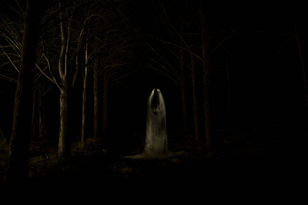Изображение призрака посреди леса с полной темнотой и выполненное с использованием техники освещения
 - Фото, изображение