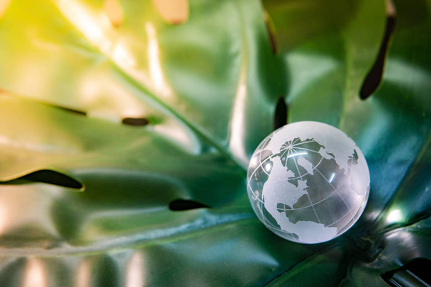 World globe cystal glass on green lush leaf. Environmental conservation. World environment day. Global business for sustainable development. Nature and ecology concept. - Photo, Image