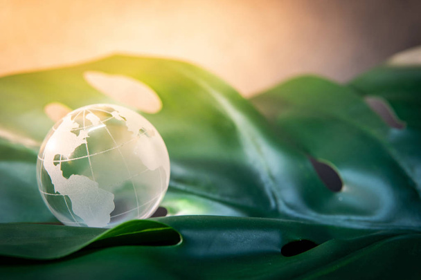 Világ globe cystal üveg-zöld buja levél. Természetvédelmi. Környezetvédelmi világnap. Globális üzleti a fenntartható fejlődés. Természet és ökologia koncepció. - Fotó, kép