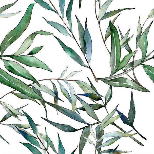 watercolor green willow branches. Leaf plant botanical garden floral foliage. Seamless background pattern. Fabric wallpaper print texture. Aquarelle leaf for background, texture, wrapper pattern. - Foto, Imagen