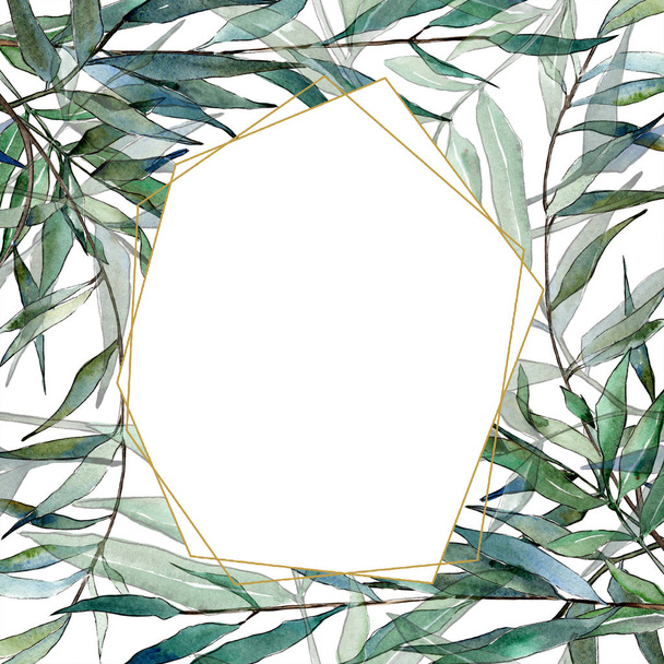 watercolor green willow branches. Leaf plant botanical garden floral foliage. Frame border ornament square. Aquarelle leaf for background, texture, wrapper pattern, frame or border. - Fotoğraf, Görsel