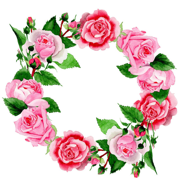 Watercolor pink rose flower. Floral botanical flower. Frame border ornament square. Aquarelle wildflower for background, texture, wrapper pattern, frame or border. - Foto, afbeelding