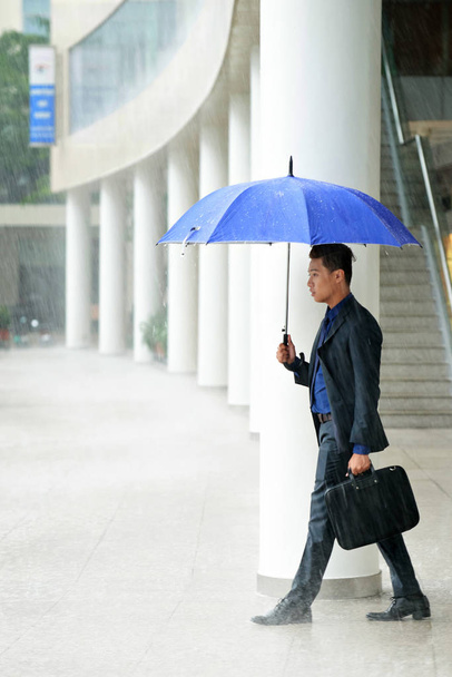 Asian businessman with blue umbrella outdoors in rainy day weather walking with case  - Φωτογραφία, εικόνα