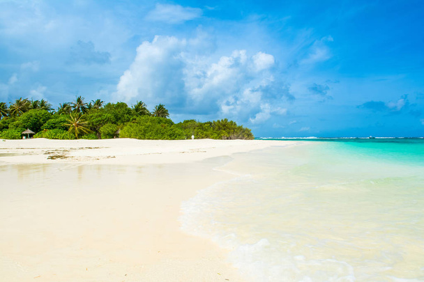Beautiful sandy beach in uninhabited island in Indian ocean, Maldives - Fotografie, Obrázek