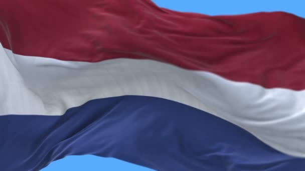 4k naadloze close-up van de Nederlandse vlag langzame zwaaiende in de wind. alfakanaal. - Video
