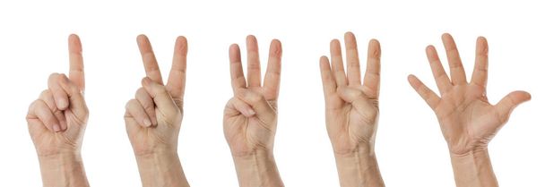 Μετρώντας τα χέρια (1 έως 5) που απομονώνονται σε λευκό φόντο - Φωτογραφία, εικόνα