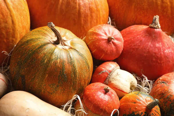 Many different pumpkins as background, closeup. Autumn holidays - Фото, зображення