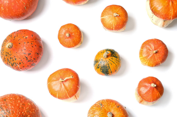 Flat lay composition with orange pumpkins on white background. Autumn holidays - Foto, Imagen