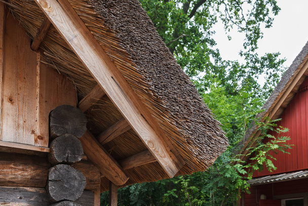 わらの屋根を持つ小さな木製コテージ. - 写真・画像