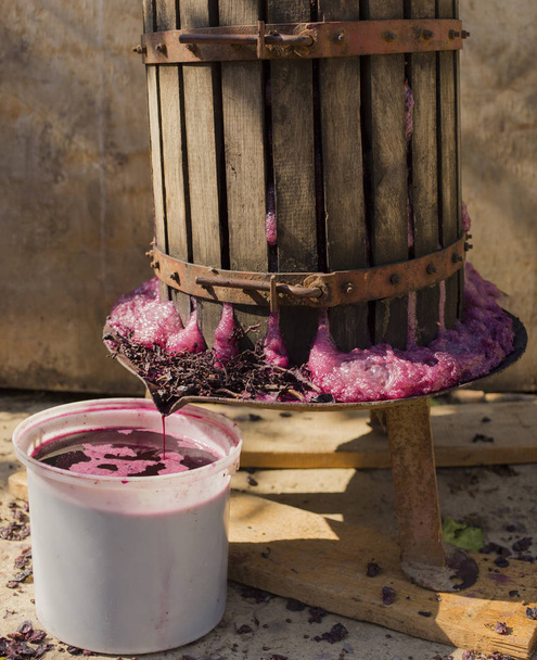 Wine-making. Technology of wine production. The folk tradition of making wine. Wine production in Moldova. The ancient tradition of grape processing. The squeezer is used to press the wine.  - Photo, Image