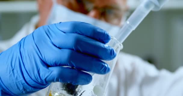 Close-up of male scientist experimenting in laboratory 4k - Filmati, video