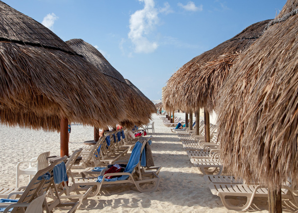Sombrillas de paja y sillas para tomar el sol en la playa
 - Foto, imagen