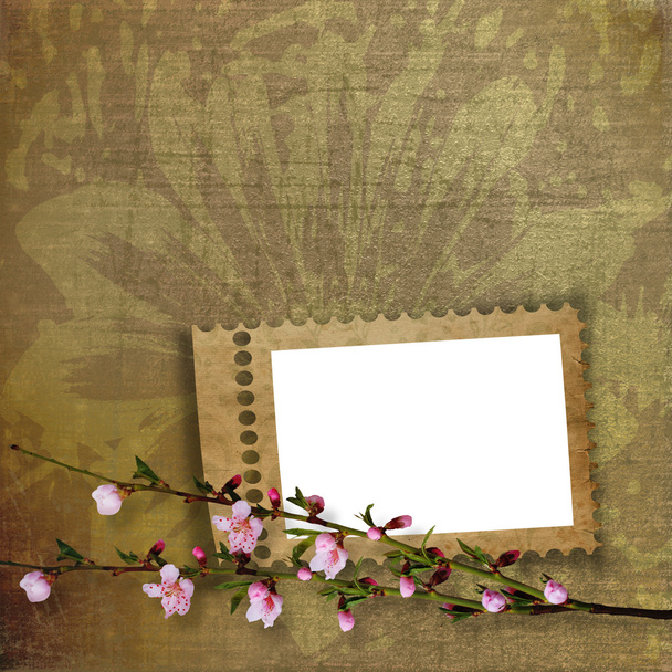 Beautiful abstract background with frame and branch of Sakura - Fotó, kép