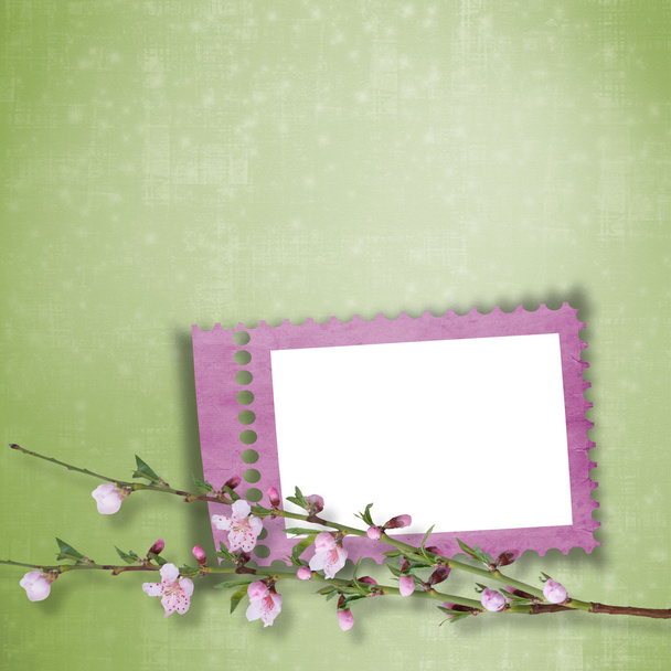 Beautiful abstract background with frame and branch of Sakura - 写真・画像