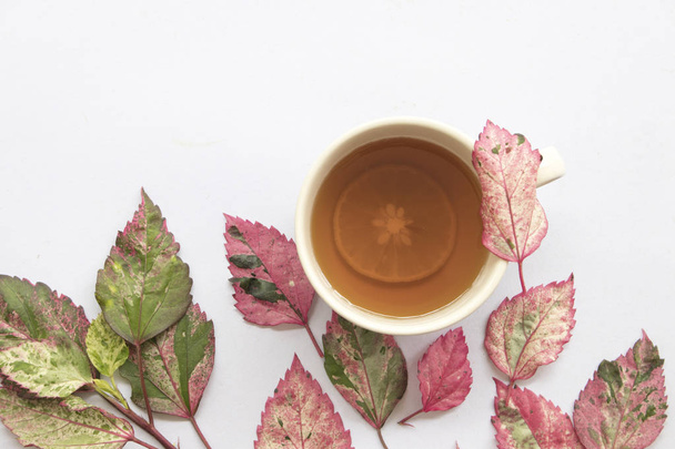 Αναμίξτε ζεστό τσάι λεμόνι με πολύχρωμα φύλλα φθινοπώρου ρύθμιση σε λευκό φόντο  - Φωτογραφία, εικόνα