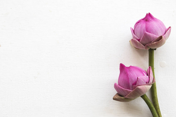 flores de loto rosa local de arreglo de asia sobre fondo de madera blanca
 - Foto, imagen
