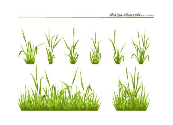 デザイン - 緑の牧草地の草の要素のセットします。ベクトル. - ベクター画像