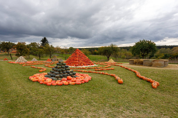 カラー バリエーションを楽しみのために配置秋の収穫されたカボチャからピラミッドします。カボチャの世界にハロウィーンの休日コンセプト. - 写真・画像