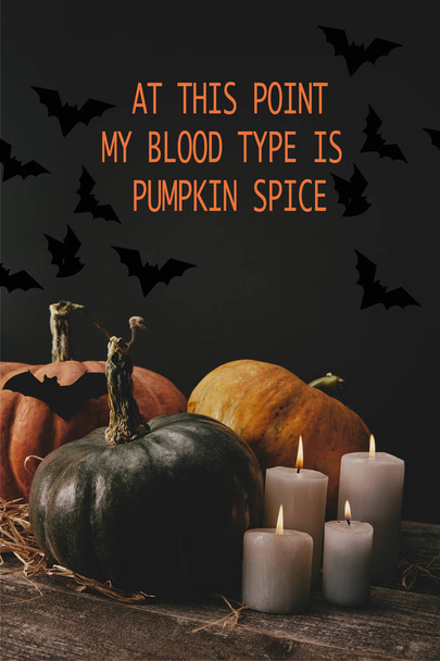 pumpkins, black paper bat and candles on table with "at this point my blood type is pumpkin spice" halloween lettering - Photo, Image