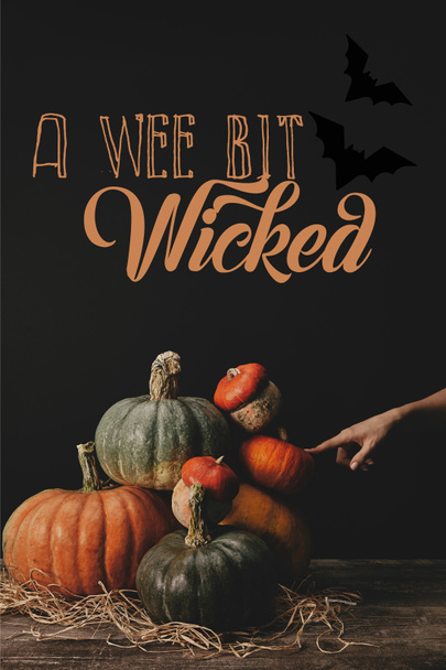 bijgesneden afbeelding van vrouw aanraken van pompoenen op tafel met vleermuizen en "een klein beetje wicked" halloween belettering   - Foto, afbeelding
