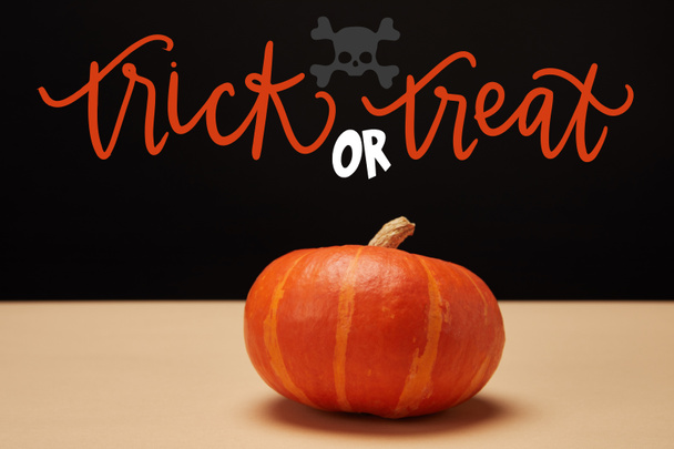 one orange pumpkin on table with skull and "trick or treat" halloween lettering   - Valokuva, kuva