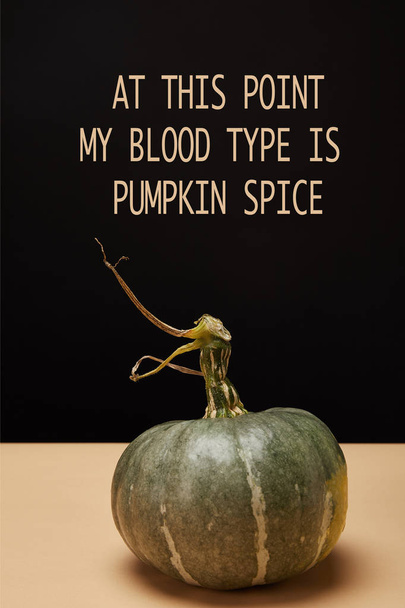 one green pumpkin on table with "at this point my blood type is pumpkin spice" halloween lettering   - Foto, imagen