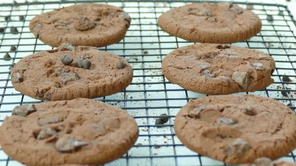 deliciosas galletas caseras con gotas de chocolate en rejilla metálica
  - Imágenes, Vídeo