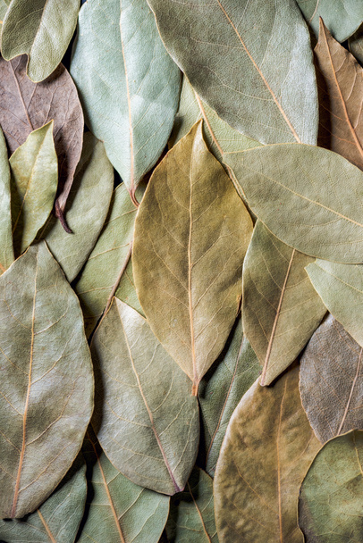 вид сверху на ароматические сухие листья лаврового фона
 - Фото, изображение