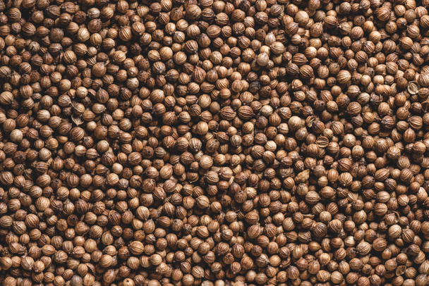 full frame view of aromatic dried coriander seeds - Photo, Image