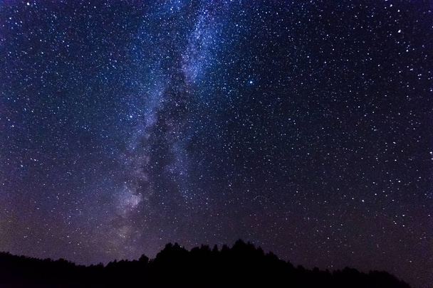 Starry sky, milky way, beautiful landscape, night time, Belarus. - Photo, Image