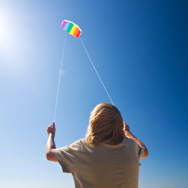 Kite on the sky - Photo, Image