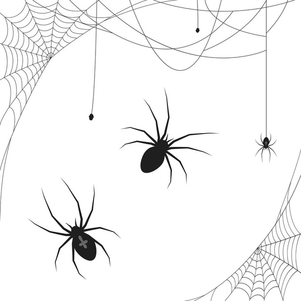 collection of different illustrated spider webs and some spiders black colored for Halloween layouts - Vector, Image