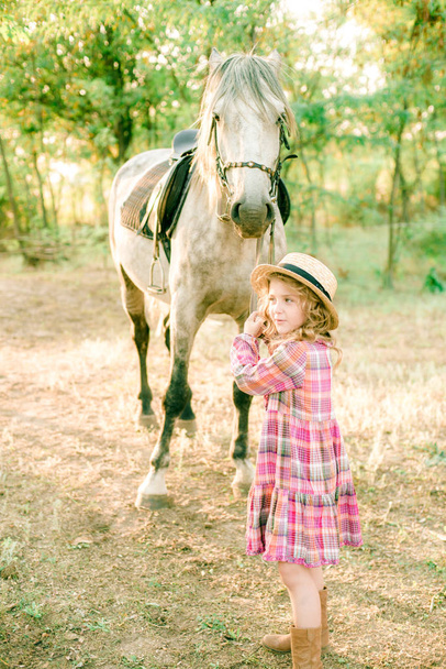 A nice little girl with light curly hair in a vintage plaid dress and a straw hat and a gray horse. Rural life in autumn. Horses and people - Fotoğraf, Görsel