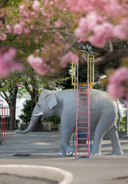 Elephant sculpture under the cherry blossoms of Asukayama Park in the Kita district, north of Tokyo. - Photo, Image