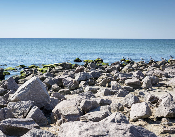 view of the sea with rocks and gulls in the summer, Ukraine village of Iron Port - Photo, Image
