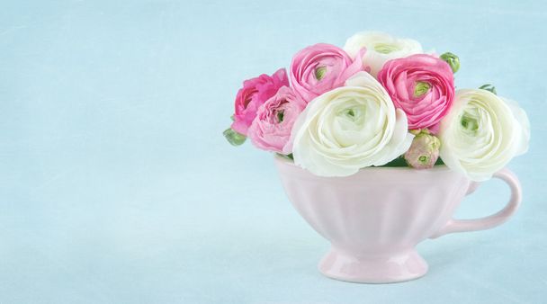 コピー スペースでピンクのカップでラナンキュラスの花 - 写真・画像