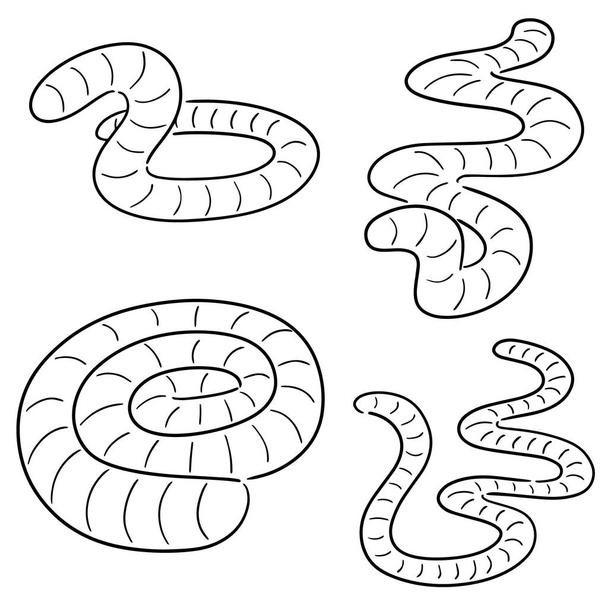 vector set van wormen - Vector, afbeelding
