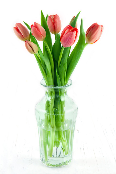 白い背景の上の花瓶に赤いチューリップ - 写真・画像
