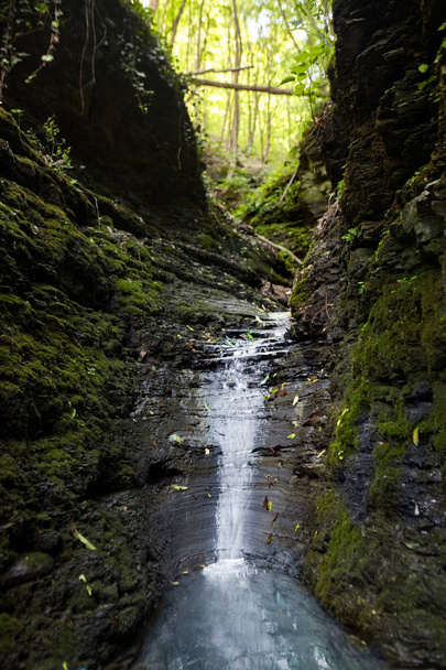 Cascade falls over mossy rocks. Spring in forest.magic lightnings.Deep forest athmosphere. - Foto, afbeelding