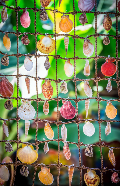 Sea shells souvenirs somewhere in Dominican Republic - Photo, Image
