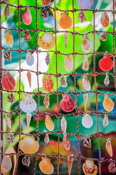 Zee schelpen souvenirs ergens in Dominicaanse Republiek - Foto, afbeelding