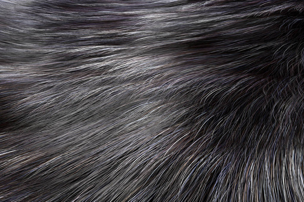 Ezüst színű állati szőr Wolf textúra vagy a Fox extrém Vértes. 3D-leképezés - Fotó, kép