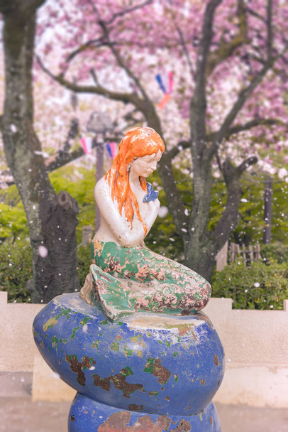 La Sirenita del libro de Hans Christian Andersen bajo las flores de cerezo del Parque Asukayama en el distrito de Kita, al norte de Tokio
. - Foto, imagen