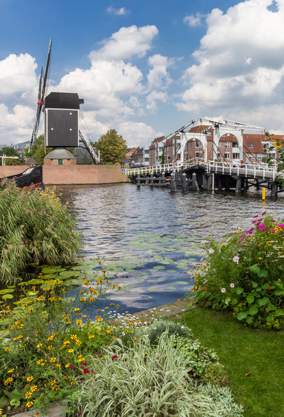 Kwiat przed zabytkowy młyn w Leiden, Holandia - Zdjęcie, obraz